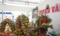 Kokosfestival-Werbung für wirtschaftliche Werte der Kokospalme